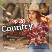 Top 20 Country Music - The Best Instrumental Country Background artwork