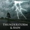 Tropical Storm - Tranquil Music Sound of Nature lyrics