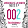 Stream & download Exotic - Single