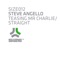 Steve Angello - Teasing Mr Charlie