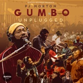Gumbo Unplugged (Live) artwork