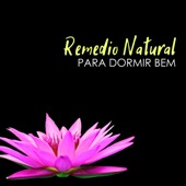 Dormir Bem artwork