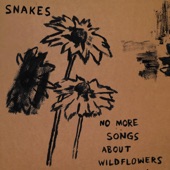 No More Songs About Wildflowers artwork