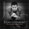 Julio Guerrero - Y Que Nos Paso