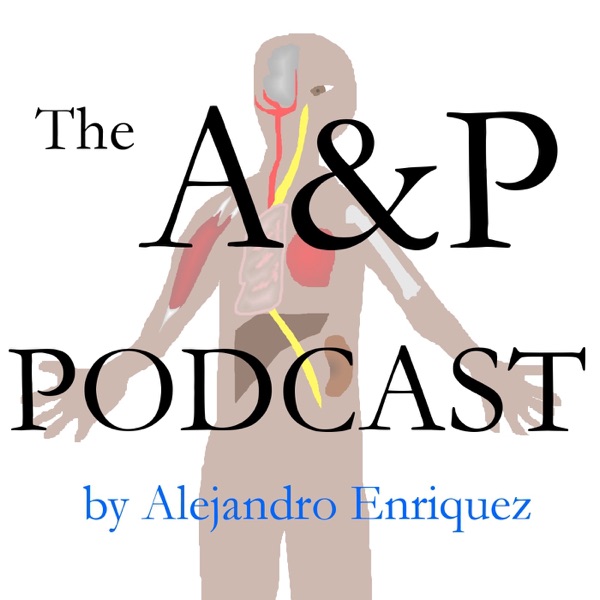 The A&P Podcast cover