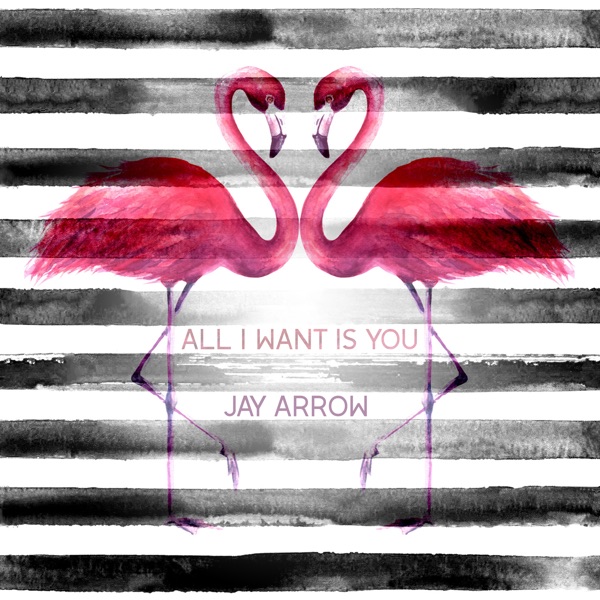 Jay Arrow - All I Want Is You