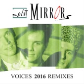 Voices (Disco Fox Extended Mix) artwork