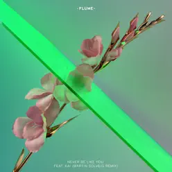 Never Be Like You (feat. Kai) [Martin Solveig Remix] - Single - Flume