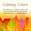 Calming Colors - Yoga Meditation and Relaxation Music with Instrumental New Age Sounds for Inside Health Smile Forever and Healing Massage album lyrics, reviews, download