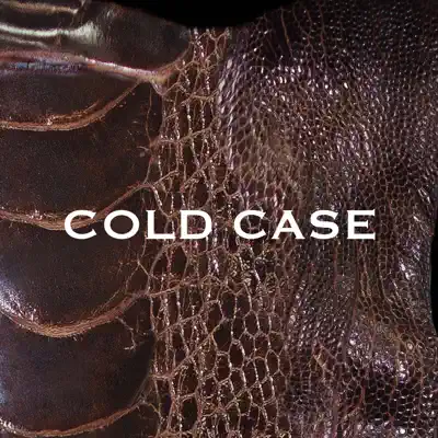 COLD CASE ( lipper ) - Single - Vistlip