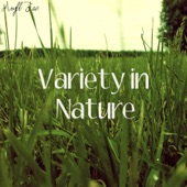 Variety in Nature artwork