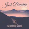 Just Breathe: 50 Calm Nature Sounds for Yoga, Meditation Techniques for Stress Reduction to Soothe Your Spirit & Find Inner Peace of Mind Into Your Life album lyrics, reviews, download