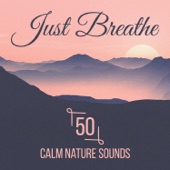Just Breathe: 50 Calm Nature Sounds for Yoga, Meditation Techniques for Stress Reduction to Soothe Your Spirit & Find Inner Peace of Mind Into Your Life artwork
