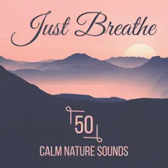 Just Breathe: 50 Calm Nature Sounds for Yoga, Meditation Techniques for Stress Reduction to Soothe Your Spirit & Find Inner Peace of Mind Into Your Life by Stress Relief Calm Oasis album reviews, ratings, credits
