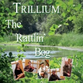 Trillium - Baby Everett's Music Box Rag