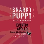 Snarky Puppy - Lingus