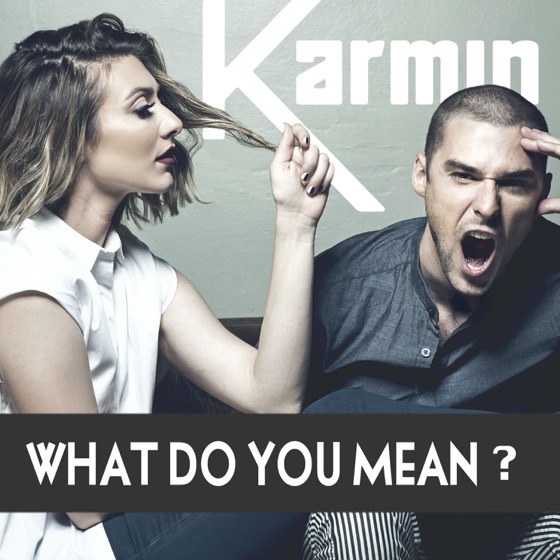 Cover artwork for What Do You Mean?