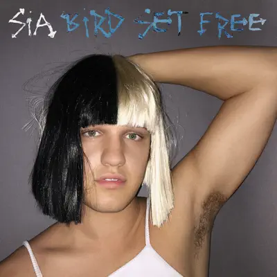 Bird Set Free - Single - Sia