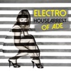 Electro Housearrest of ADE