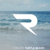 Turtle Beach artwork