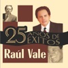 Raúl Vale, 2007