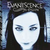 Going Under - Evanescence Cover Art