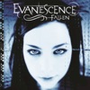 Evanescence - Bring me to life