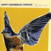 Jimmy Chamberlin Complex - Cranes of Prey