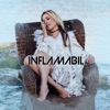 Inflamabil - Single