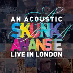 An Acoustic Skunk Anansie – Live In London - Skunk Anansie