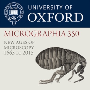 On Closer Inspection: placing Hooke's Language under the Microscope