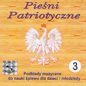 Jak Długo W Sercach Naszych (Wersja Instrumentalna) artwork