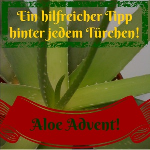 Silvester-Rezepte