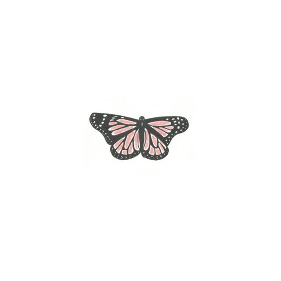 Cover artwork for Butterfly