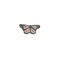 Butterfly - UMI lyrics