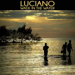 Wade in the Water (Afro House Mix) - Single by Luciano album reviews, ratings, credits