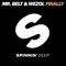 Finally (Radio Edit) - Mr. Belt & Wezol lyrics
