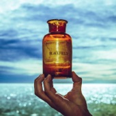 Blackfield V cover