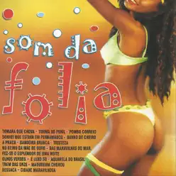 Som da Folia - Willian Luna Som da Folia - Willian Luna