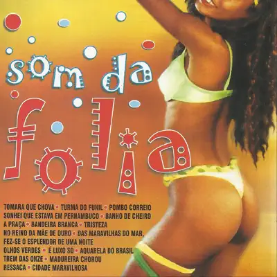 Som da Folia - Willian Luna Som da Folia - Willian Luna