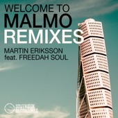 Welcome to Malmo (Remixes) [Danny Thorn Radio Mix] [feat. Freedah Soul] artwork