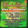 Viva La Tambora Puros Corridos Fregones, Vol. 2