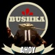 Bushka on Blitz's podcast