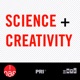 Science and Creativity from Studio 360