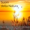 Giornata di Vento (Ambient Music) - Madre Natura & Armonia lyrics