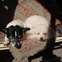 Nana's Knitting Podcast podcast