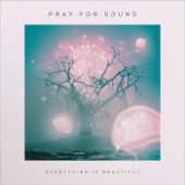Pray for Sound - They Gave up Looking