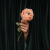 Marian Hill - Unusual  artwork