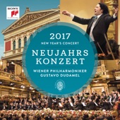 Neujahrskonzert 2017 (New Year's Concert 2017) artwork