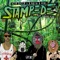 Stampede (feat. Armanni Reign) artwork
